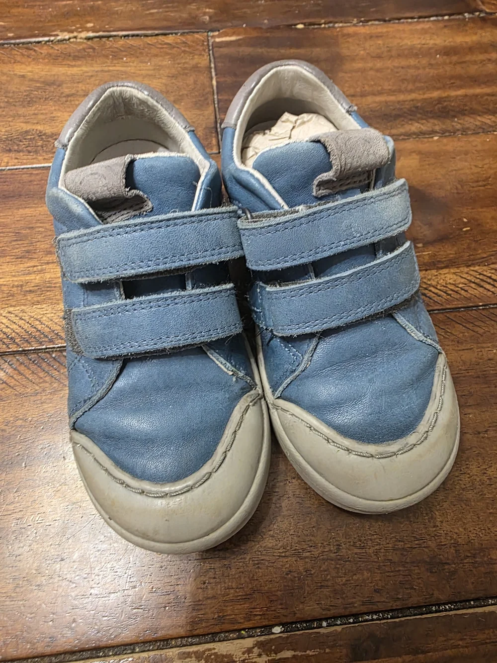 Froddo Rosario high top sneaker size Toddler 9/26
